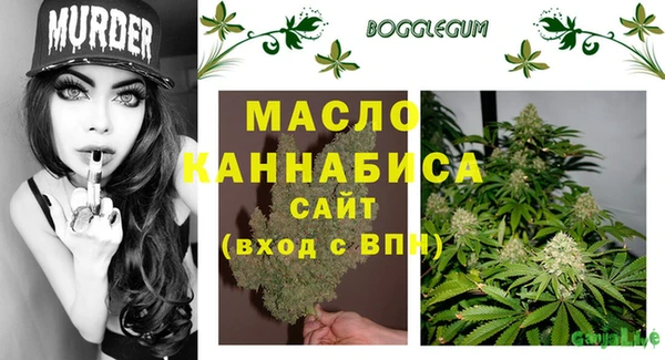 индика Заводоуковск